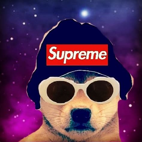 Supreme Dog With Galaxy Background Dogwifhatgang