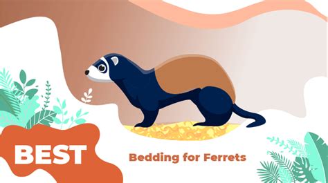 bedding  ferrets      pets