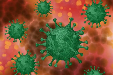 Coronaviruses (cov) were identified as human pathogens in the 1960s. Acumulan reservas contra el coronavirus ante advertencias ...