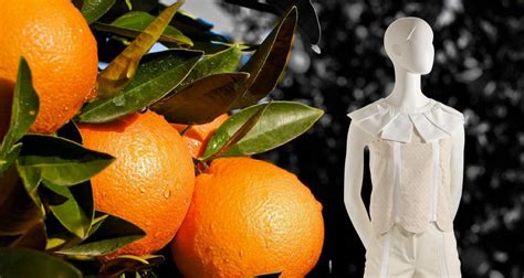 Gli Scarti Di Arance Diventano Tessuti Sostenibili Si Chiama Orange