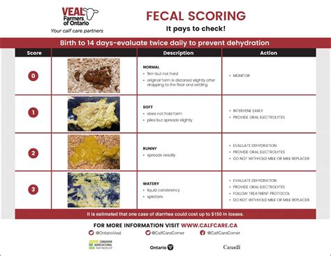 Fecal Scoring Calfcareca