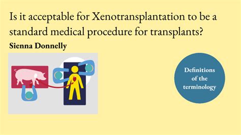 Is It Acceptable For Xenotransplantation To Be A Standard Medical