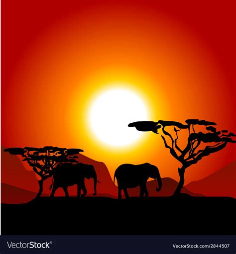 Silhouettes Of Elephants On African Sunset Vector Image