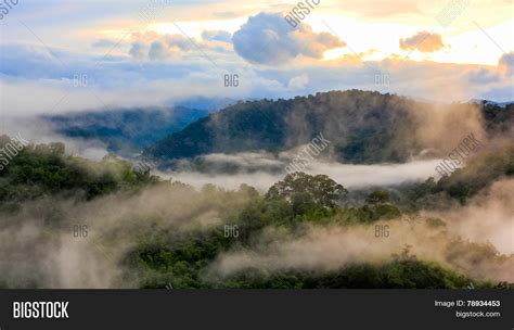 Morning Mist Tropical Image And Photo Free Trial Bigstock