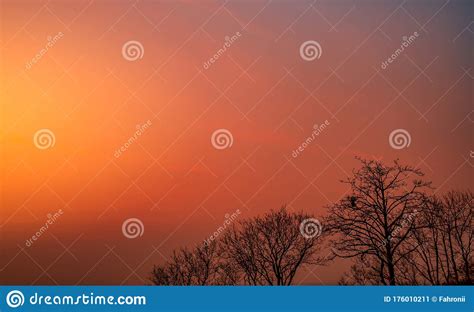 Beautiful Silhouette Leafless Tree And Sunset Sky Romantic And