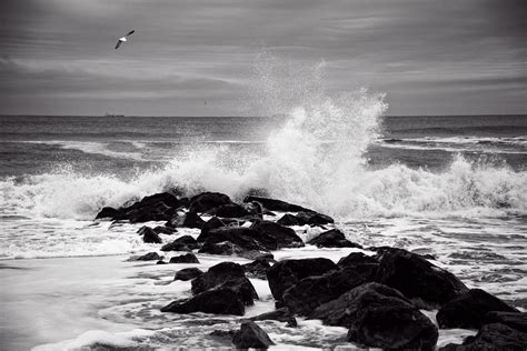 The Beach Shutterbug