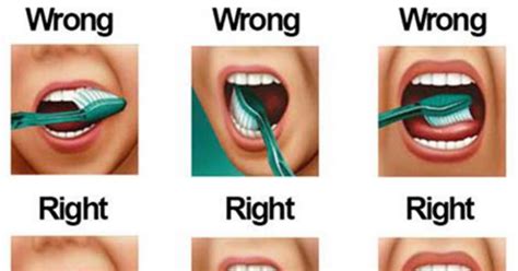 How good is the evidence that flossing is effective, and what have randomized controlled trials shown is the optimal toothbrushing. You're Brushing Your Teeth Wrong! Here's How To Do It...