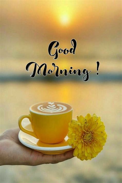 168 Hot Good Morning Coffee Images Coffee Good Morning Hd Pics