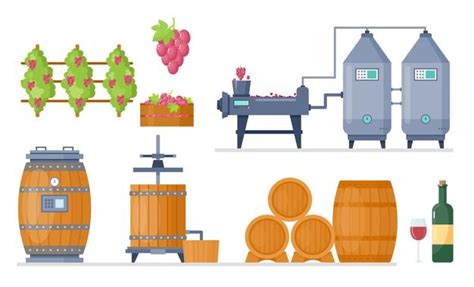 Free Vector Wine Production Process Cartoon Flowchart