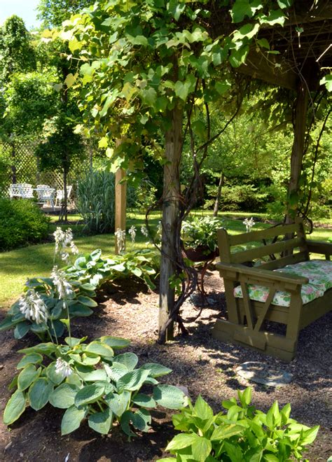 The tasty grapes you can pick from your arbor are versatile in their use. grape arbor garden | Buffalo-NiagaraGardening.com