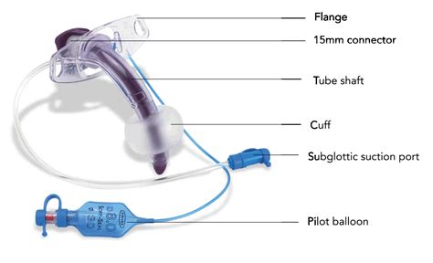 Tracheostomy Tubes Theguidewire