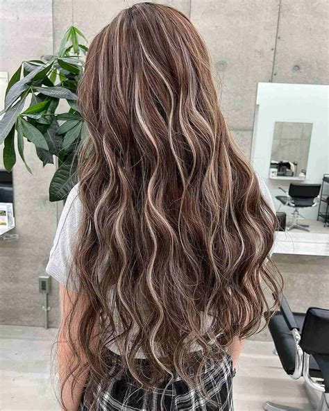Top Image Brown Hair With Highlights Thptnganamst Edu Vn