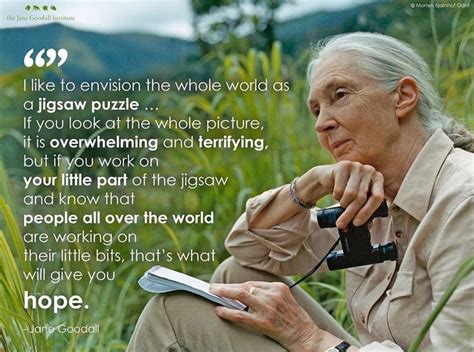 Jane Goodall Inspirational Quotes How Are You Feeling Jane Goodall