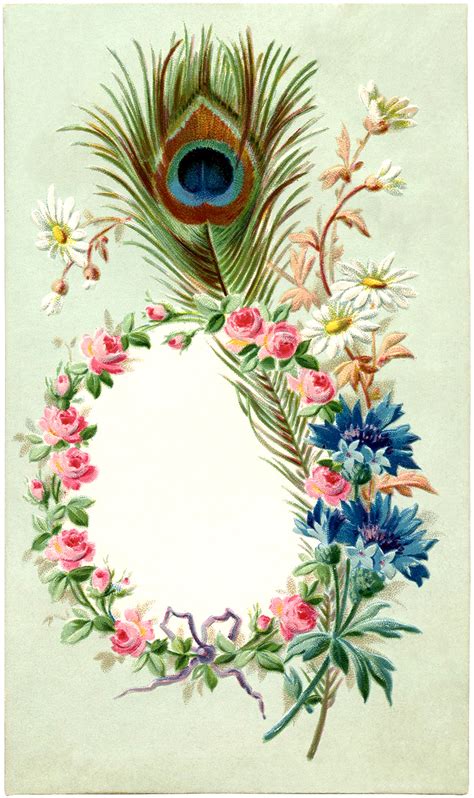 vintage peacock feather frame image the graphics fairy