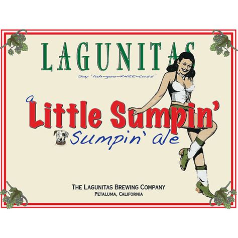Lagunitas A Little Sumpin Sumpin Ale 12 Pack 12 Fl Oz Bottles