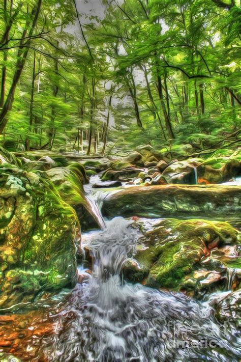 The Emerald Forest 3 Photograph By Dan Stone Fine Art America