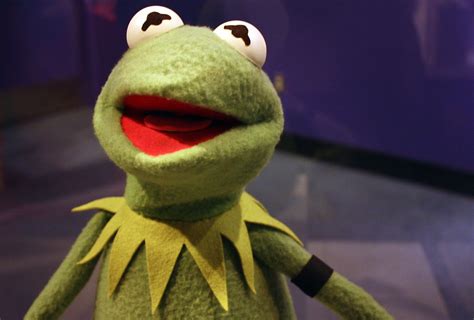 Sad Kermit Kermit The Frog At The Smithsonian National