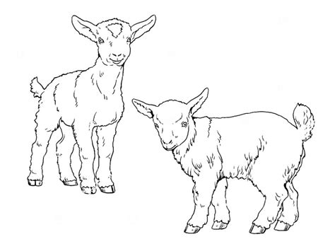 Farm Animal Coloring Pages Realistic