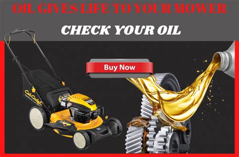 Don't use your car if there is too much oil in the engine because it can. How Much Oil To Put In Lawn Mower - Make Sure You Get It Right