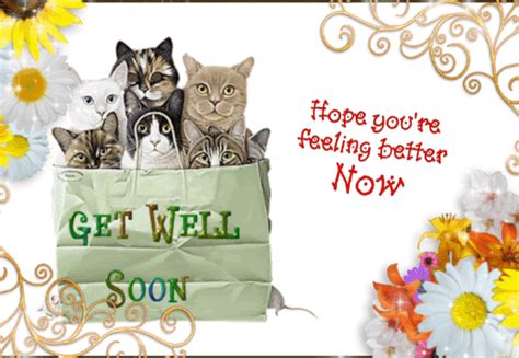 Check spelling or type a new query. Hope You're Getting Better. Free Get Well Soon eCards | 123 Greetings
