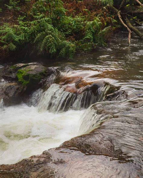 Rotorua S Hot Spring Waterfall Kerosene Creek Walk My World