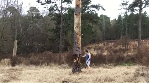 100 Foot Tall Tree Almost Fell On Him Youtube