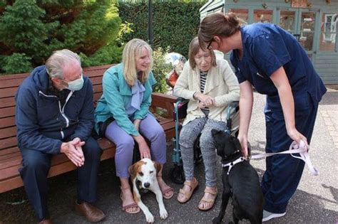 Exmouth Care Home Residents Surprise Visit Of Canine Cuddles Waggy