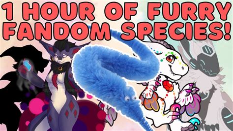 1 Hour Of Furry Fandom Species Youtube