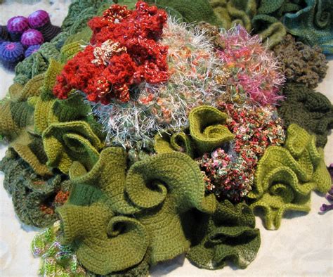 Hyperbolic Crochet Coral Reef Crochet Flower Patterns Crochet Wreath