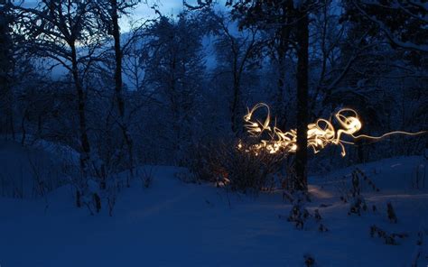 Snow Winter Trees Forest Light Painting Hd Wallpaper Nature And