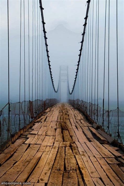 Foggy Bridge Cool Pictures