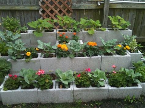 If you are thinking about adding a raised bed to your garden, using cinder blocks is a good choice because they are quick and easy to install, and less expensive. Cinder block garden ideas - furniture, planters, walls and ...