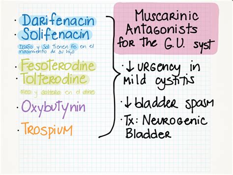 My Notes For Usmle Posts Tagged Renal Medical Mnemoni