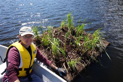 Floating Treatment Wetlands