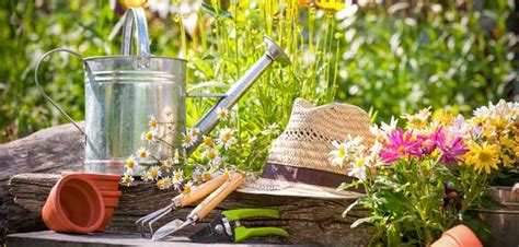 See more ideas about outdoor gardens, garden design, backyard. 5 Amazing Small Yard Garden Ideas - NLC Loans