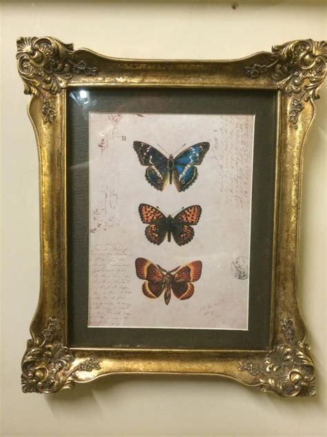 Antique Gold Vintage Framed Butterfly Picture Butterfly Frame