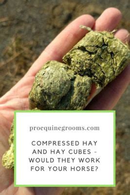 I did for a long time and just started back. Alfalfa Cubes For Horses