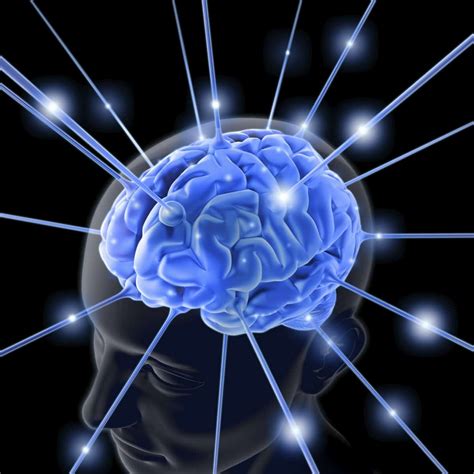 Los Dos Cerebros Meditaci N Mindfulness Y Psicolog A
