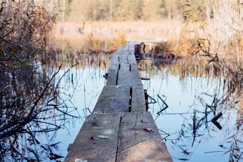 Small Wooden Pier At The Lake Free Stock Photo