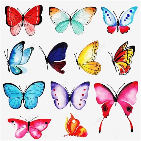 Colección De Mariposas De Acuarela Imágenes Prediseñadas De Mariposa