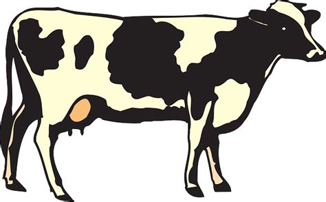 Free Vector Graphic Cow Livestock Cattle Farm Free Image On
