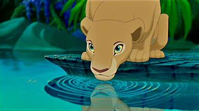 Nala Lion King Disney Simba Princess Character