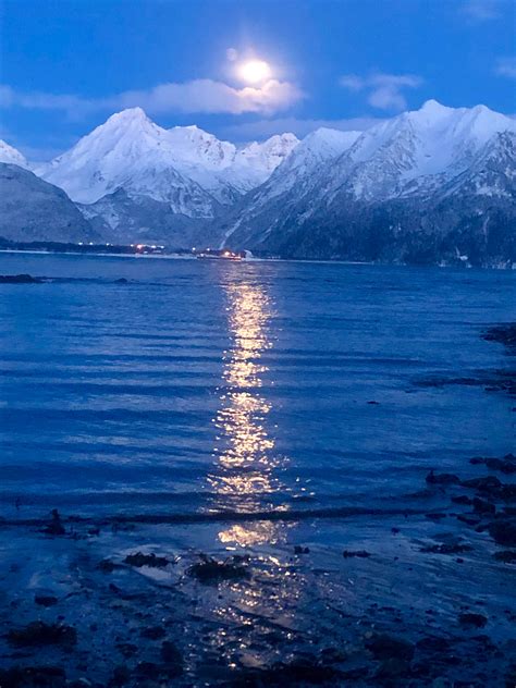 Tonight's Moonrise over Resurrection Bay! : alaska