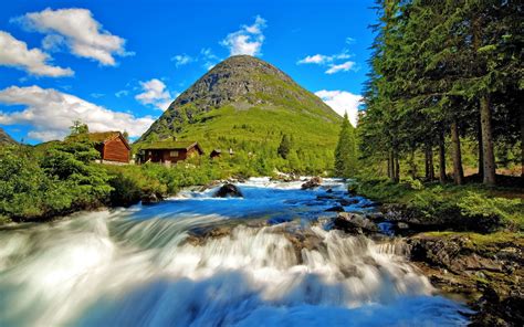 Unique Wallpaper: Paisajes Naturales y Animales de Nuestro ...