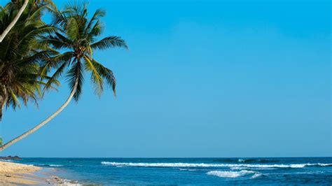 Download Wallpaper 3840x2160 Palm Palm Trees Beach Tropics Shore