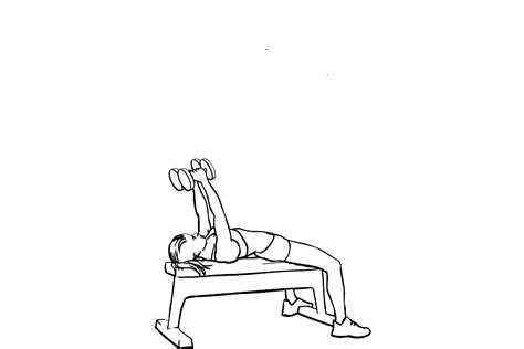 Free Workout Beginner Upper Body Dumbbell Workout