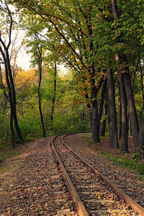 Old Narrow Gauge Railway In The Autumn Forest Overgrown With Plants And