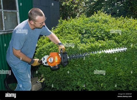 A Man Using A Hedge Trimmer Stock Photo Alamy
