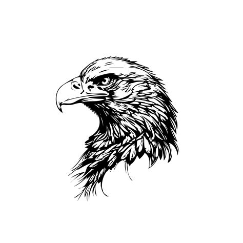 Eagle Logo Masterbundles