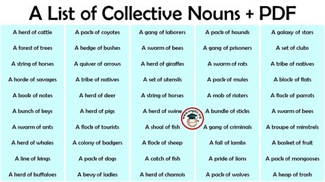 5 Examples Of Collective Nouns